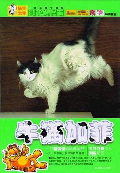 牛猫加菲