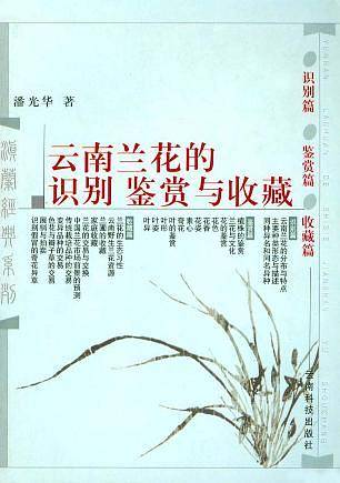 云南兰花的识别、鉴赏与收藏
