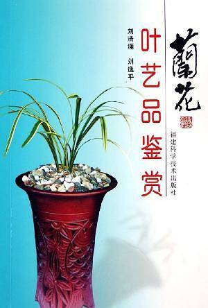 兰花叶艺品鉴赏