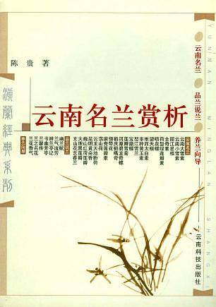 云南名兰赏析