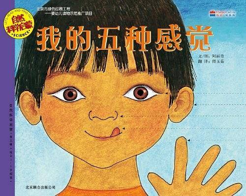 我的五种感觉