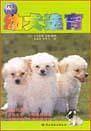 宠物系列幼犬选育 
