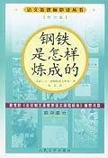 钢铁是怎样炼成的语文新课标必读丛书/初中部分