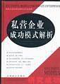 私营企业成功模式解析