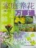 家庭养花万事通