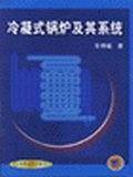 冷凝式锅炉及其系统