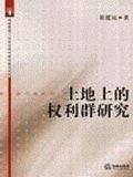 土地上的权利群研究/师林文丛