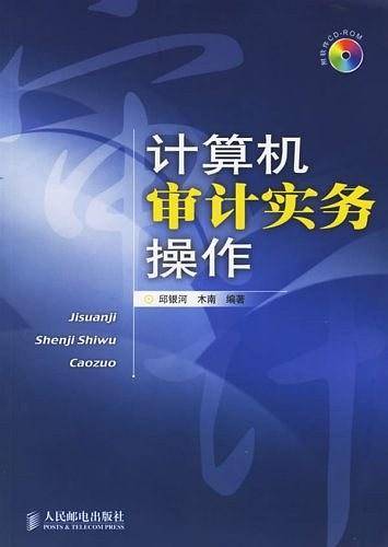 计算机审计实务操作