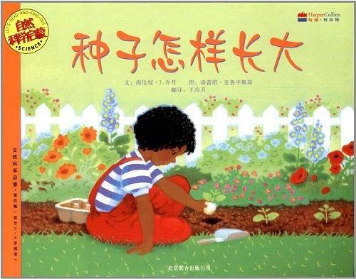 种子怎样长大