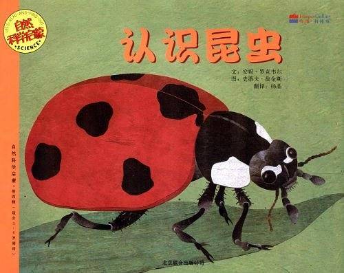 认识昆虫