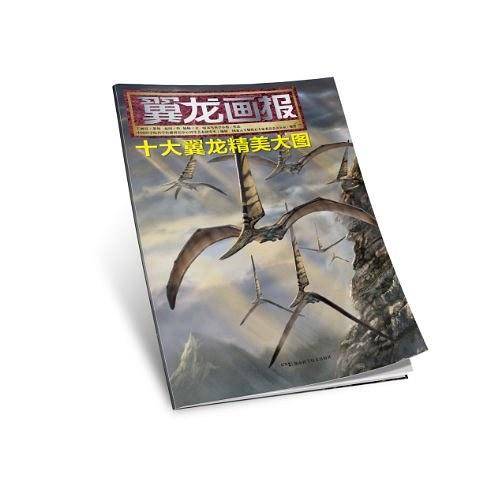 翼龙画报