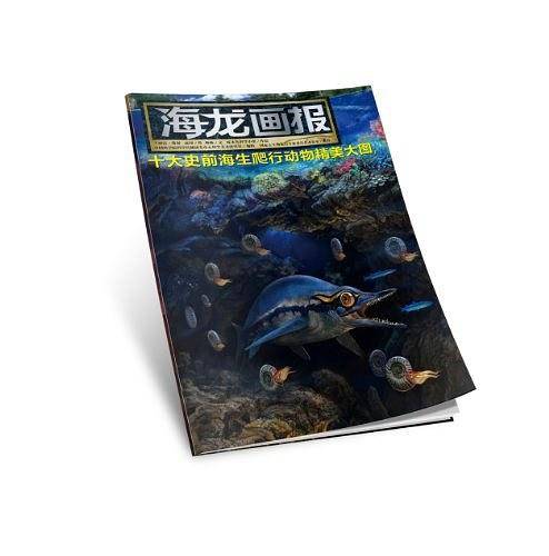 海龙画报