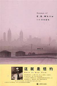 这就是纽约