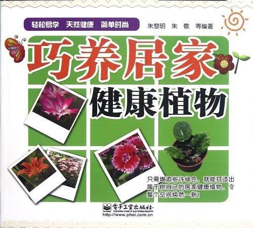巧养居家健康植物