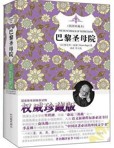 巴黎圣母院——插图典藏本
