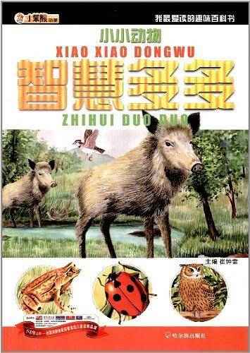 小小动物，智慧多多