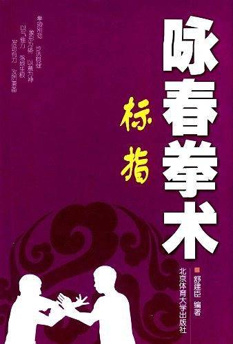 咏春拳术