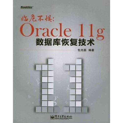 VIP——临危不惧：Oracle 11g数据库恢复技术