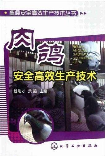 肉鸽安全高效生产技术