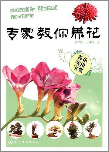 专家教你养花