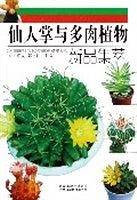 仙人掌与多肉植物新品集萃