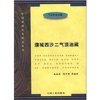 中国油藏开发模式丛