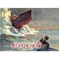 棕榈上的霜