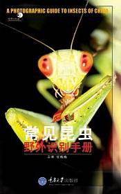 常见昆虫野外识别手册