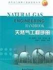 天然气工程手册/国外油气勘探开发新进展丛书