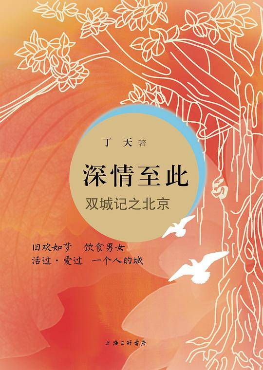 深情至此——双城记之北京