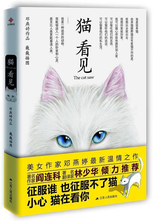 猫看见