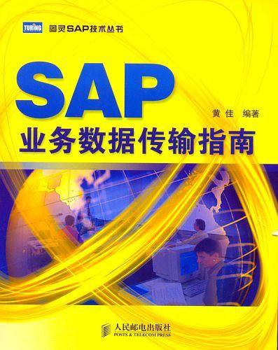 SAP业务数据传输指南