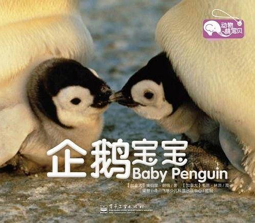 狮子宝宝