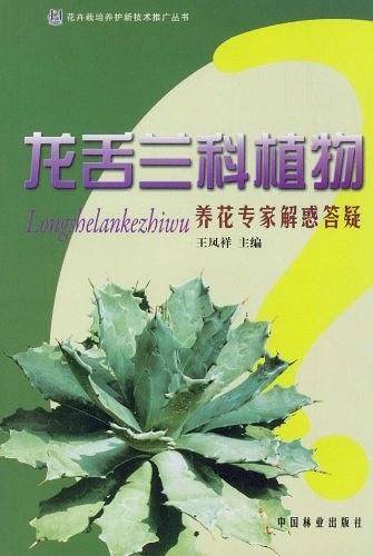 龙舌兰科植物