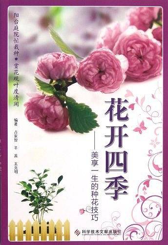 花开四季