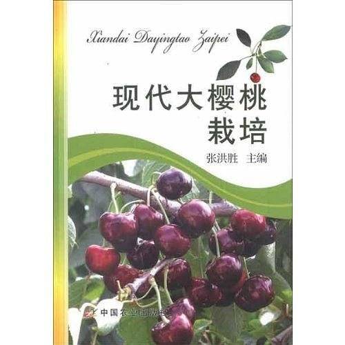 现代大樱桃栽培