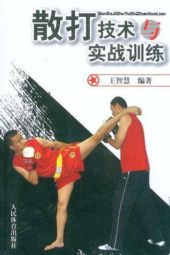 散打技术与实战训练