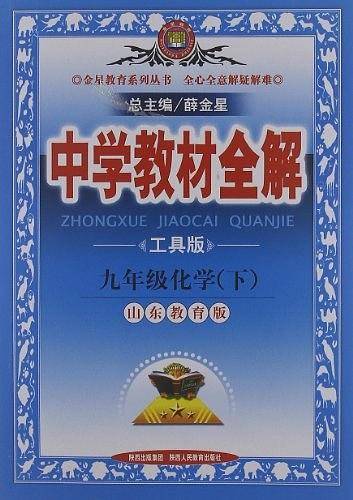 九年级化学下