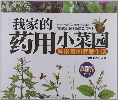 我家的药用小菜园――种出来的健康生活全彩