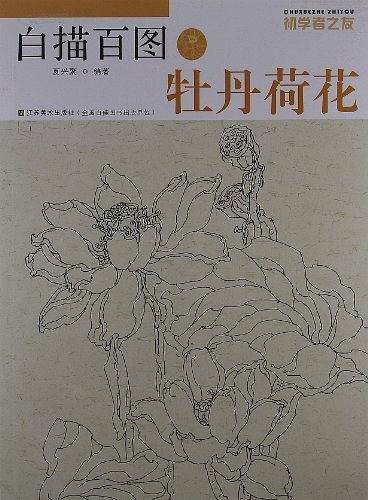 牡丹荷花-白描百图-初学者之友