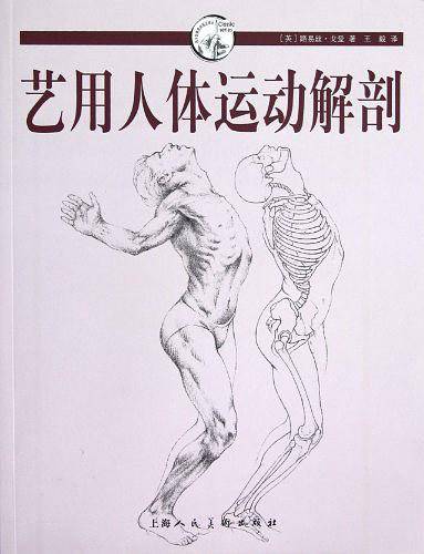 艺用人体运动解剖