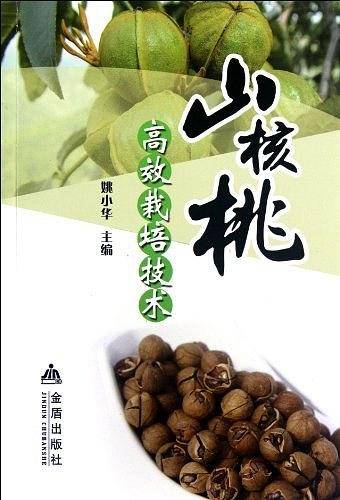 山核桃高效栽培技术