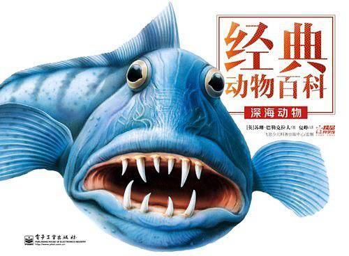 深海动物