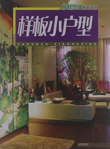 样板小户型/榜样空间系列丛书