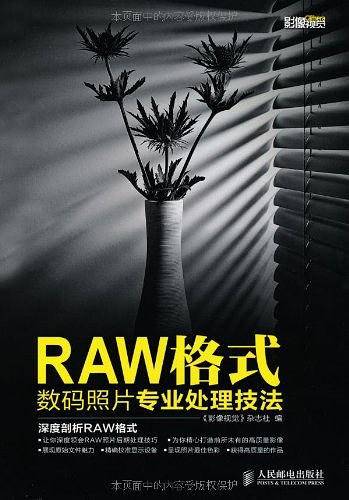 RAW格式数码照片专业处理技法