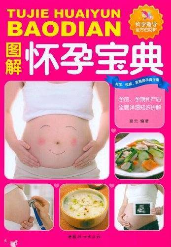 图解怀孕宝典