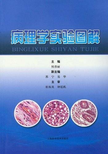病理学实验图解