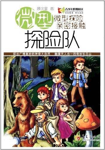 微型探险队