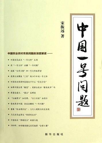 中国一号问题