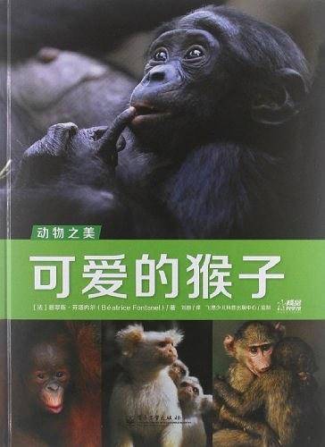 动物之美